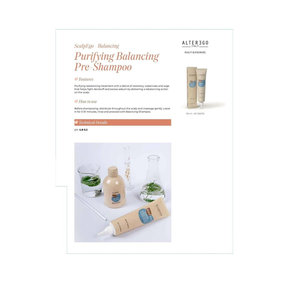 Alter Ego Balancing Pre- Treatment